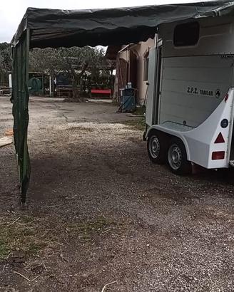 carrello per trasporto cavalli