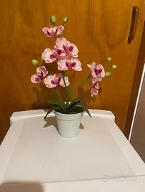 Pianta orchidea rosa in plastica.