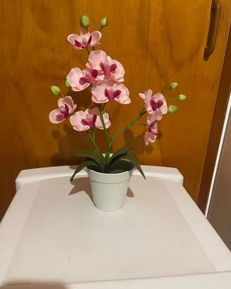 Pianta orchidea rosa in plastica.