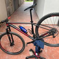 specialized carbon