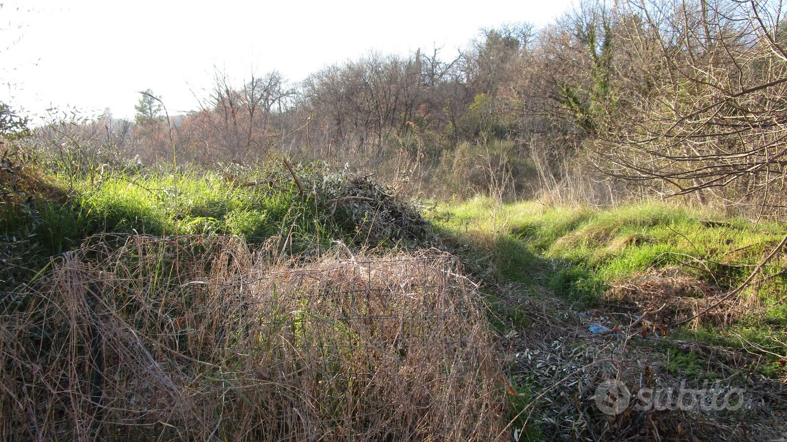 Terreno vicino ascoli - Vista 5
