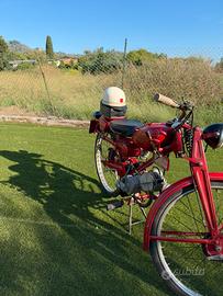 MOTO GUZZI GUZZINO 65