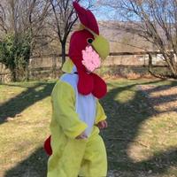 Vestito Carnevale Galletto come nuovo