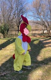 Vestito Carnevale Galletto come nuovo
