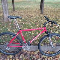 MTB anni '90 Diamondback Apex 26"+ Marzocchi XCR