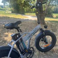 Bicicletta elettrica