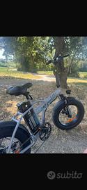 Bicicletta elettrica