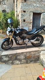Honda Hornet 600