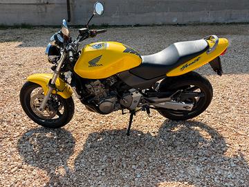 Hornet 600