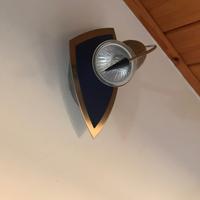 2 Faretti blu orientabili