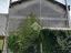 Immagine 29