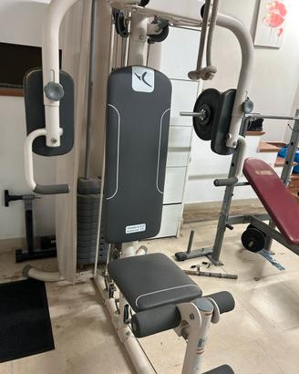 Palestra