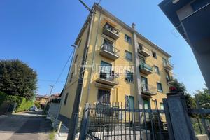 Grazioso bilocale ultimo piano con cantina libero