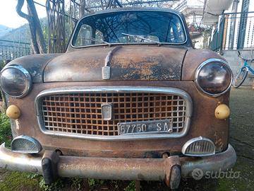Fiat 1100