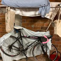 bici da corsa da donna