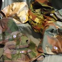 telini/retini militari