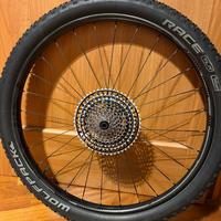 Ruote carbonio 9th wave con raggi Beard