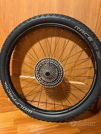 Ruote carbonio 9th wave con raggi Beard