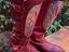 Immagine 2