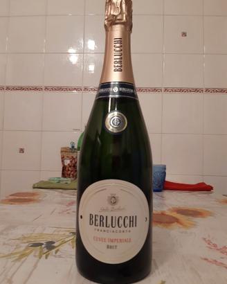 Spumante BERLUCCHI BRUT 2024 originale sigillato