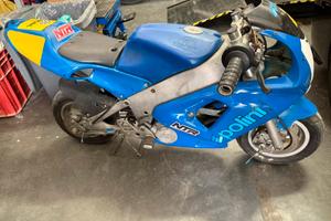 Minimoto polini dream 911 liquidò