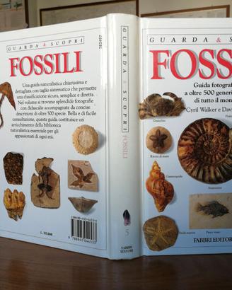 Guarda & Scopri i Fossili