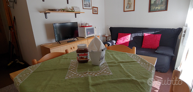 Bilocale Artesina fronte piste