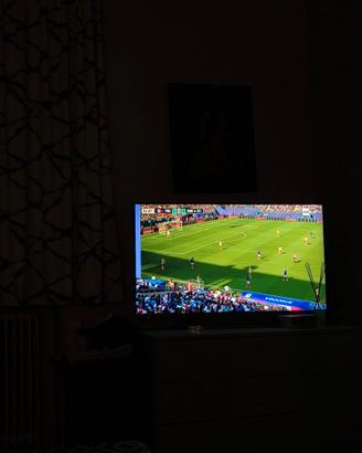 tv panasonic 40 schermo danneggiato 