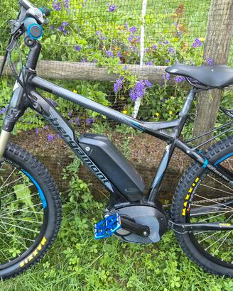 Bici MTB elettrica bosch