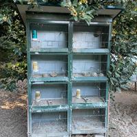 Gabbia per uccelli da cova 8 scomparti
