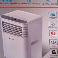 Climatizzatore da stanza