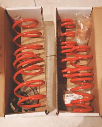 Molle assetto auto gruppo VW Audi Skoda Seat 