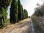 Immagine 23