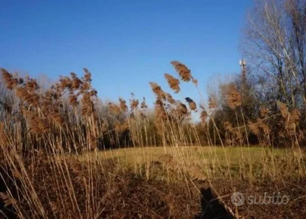 Immobile in asta di 58350 m² a Sermide e Felonica - Altro