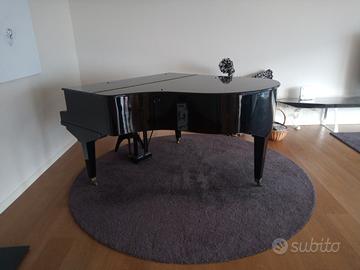 pianoforte a coda