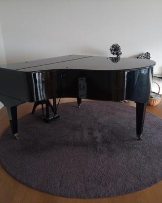 pianoforte a coda