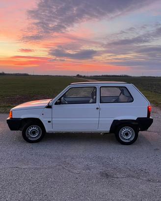 Panda young 1.100 90 mila km