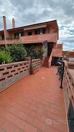 Trilocale Contrada Rosate, Oliveri