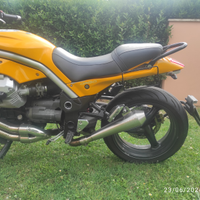 Moto Guzzi Griso 1100