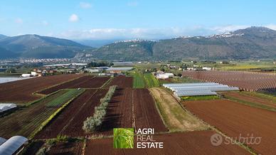 Terreno agricolo 2,5 HA con pozzo fronte strada