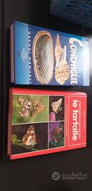 Libri sulle farfalle e conchiglie