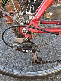 bicicletta da uomo /donna