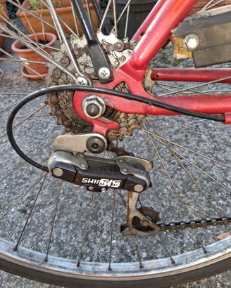 bicicletta da uomo /donna