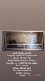 Habitat  completo per riccio africano