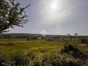 TER. AGRICOLO A CAPENA