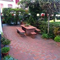 Cecina Mare, AGOSTO, appartamento giardino
