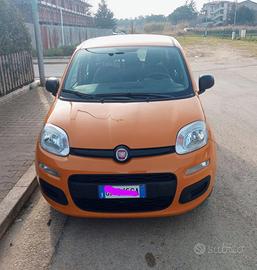 Panda Hybrid