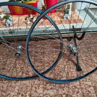 Ruote cerchi Ambrosio anodizzate mozzi DT Swiss