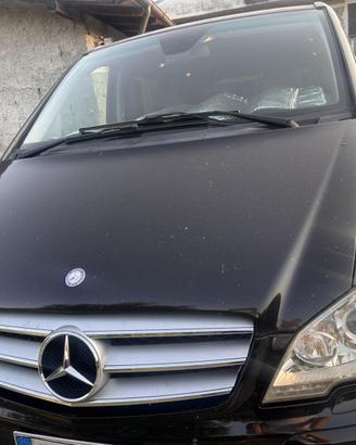 Mercedes Viano
