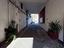 Immagine 12